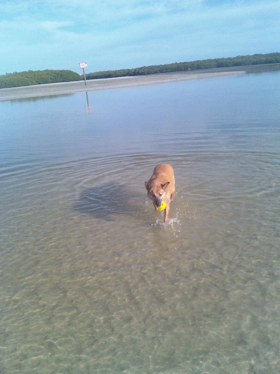 Shallow Water Play