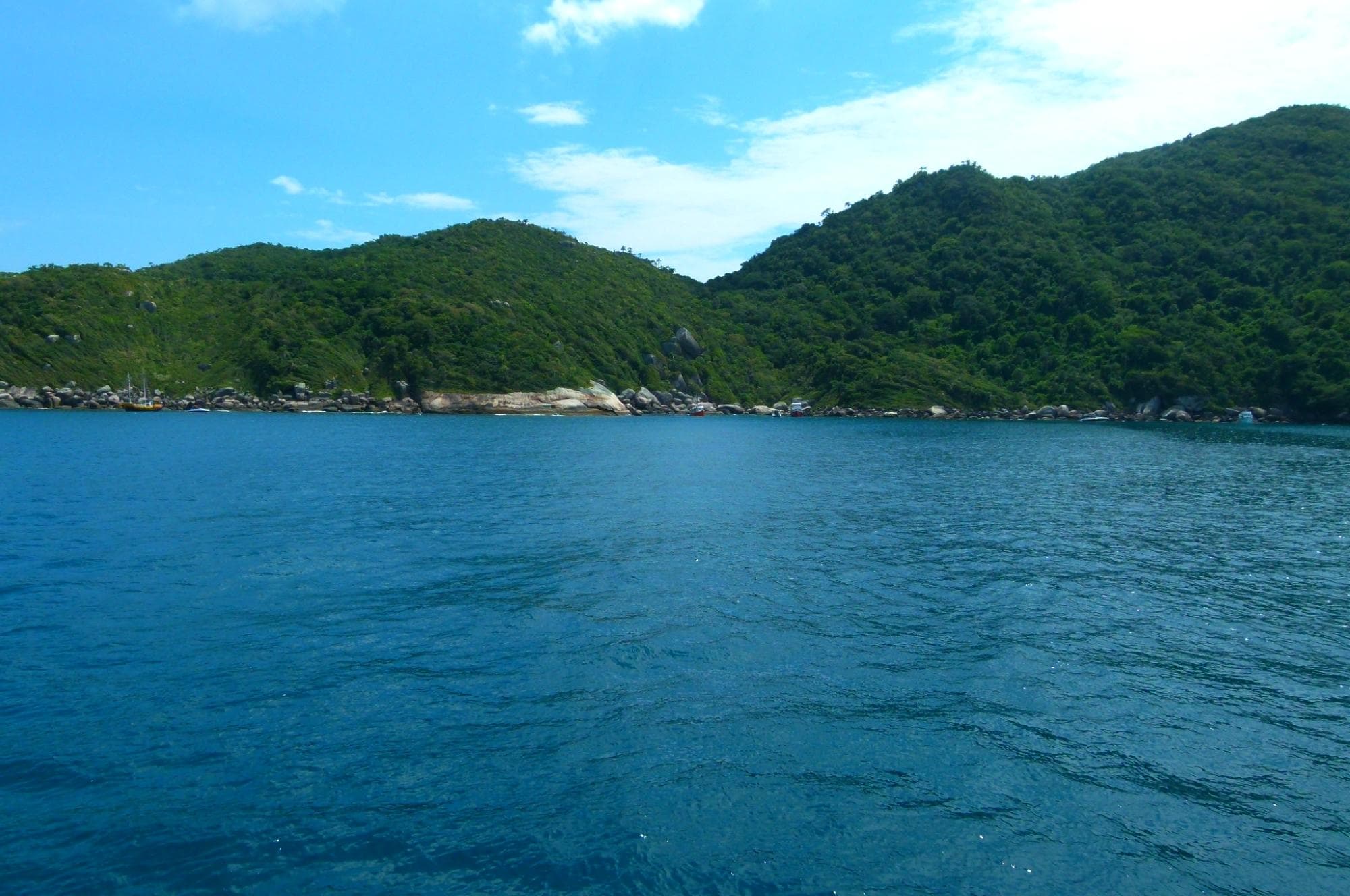 Isla do arvoredo
