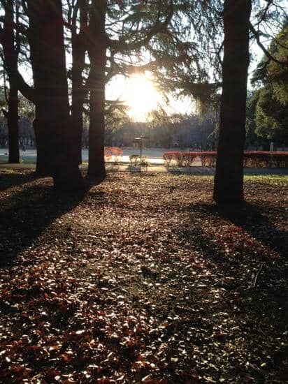 Spacious Lawns and Playgrounds