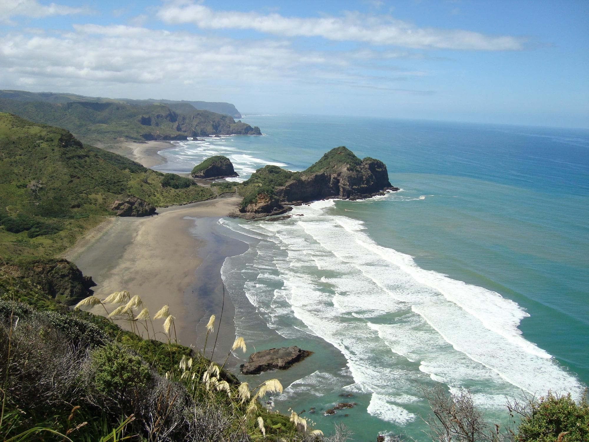 Bethells beach and O'Neills beach from the Hillary Trail.