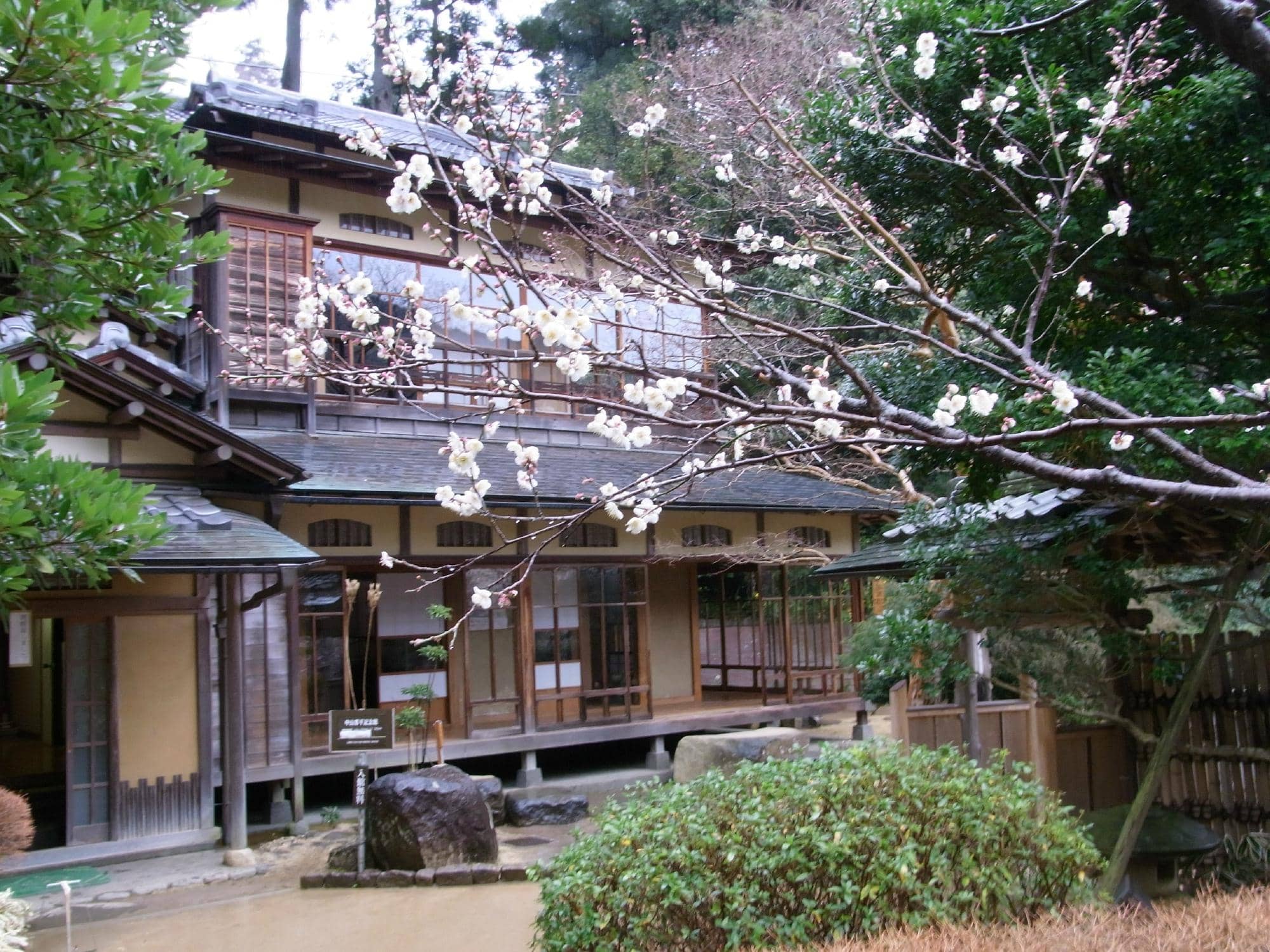 Vast Plum Blossom Collection