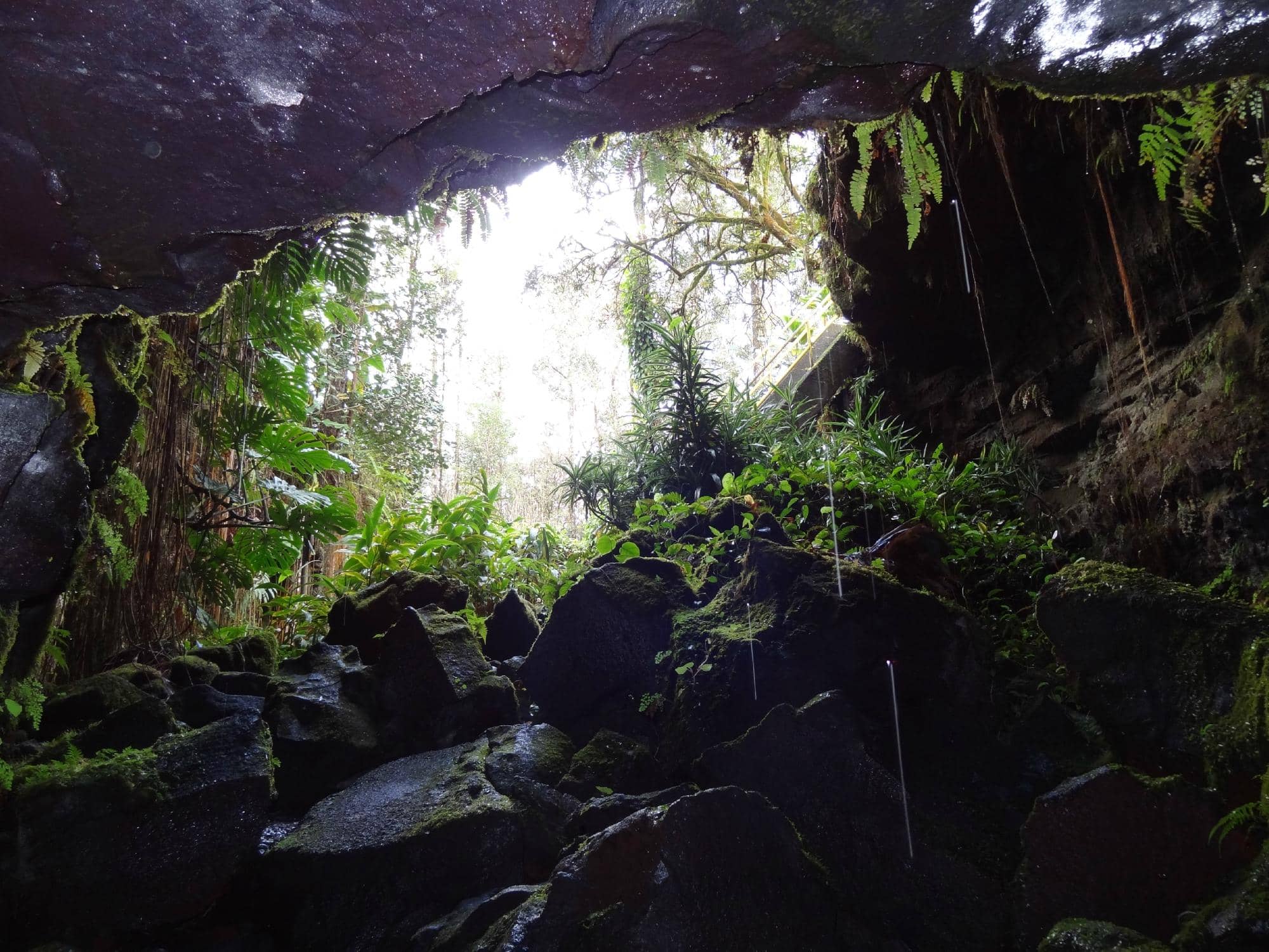 The 'Man Cave' Experience