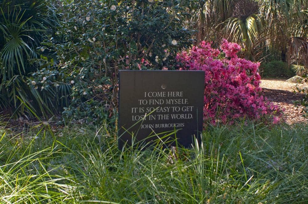 Peaceful Lawns and Benches