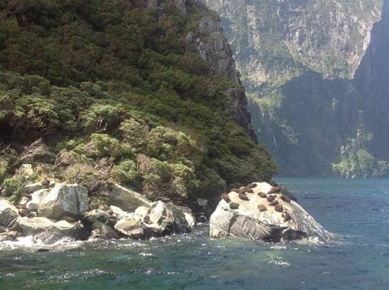 Mitre Peak