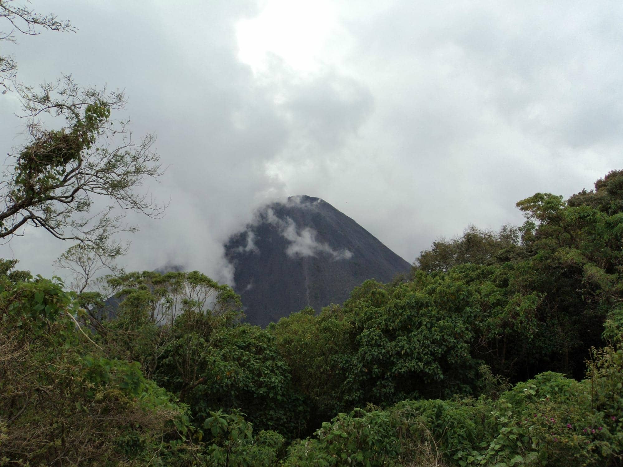 Cloud Forest Views