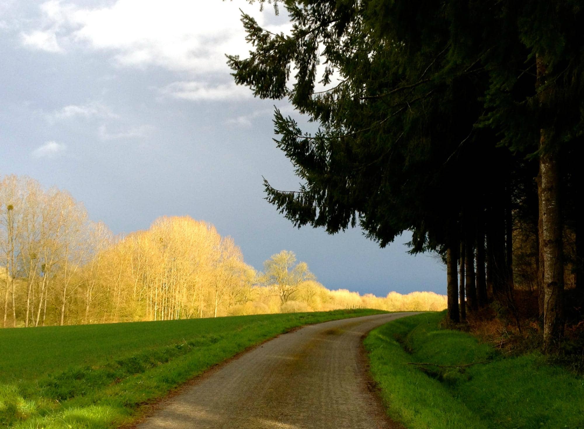 Pontivy to Nantes Stage