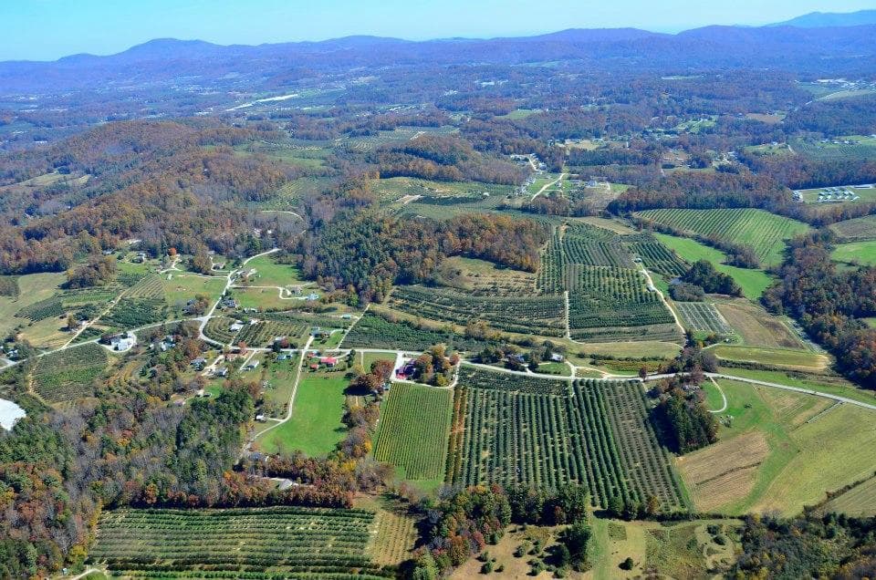 Aerial view of vineyard and surrounding area.