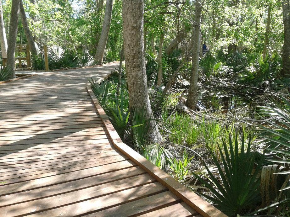 Palmetto State Park Texas