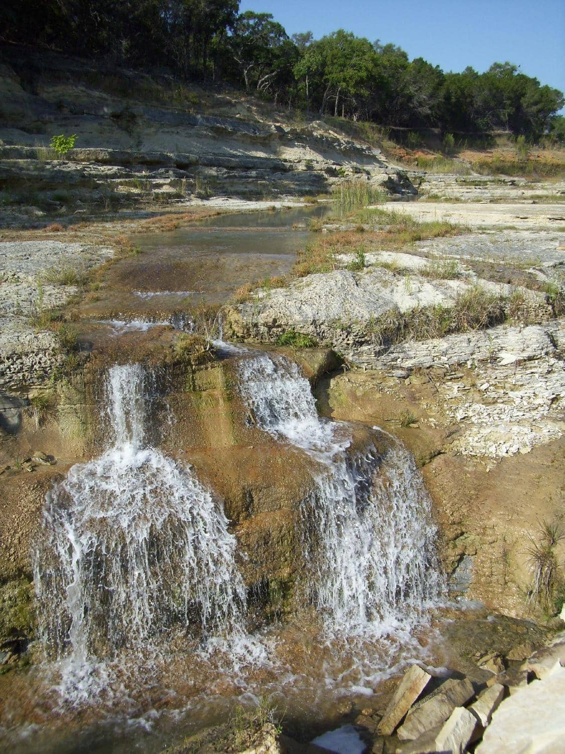 110-Million-Year-Old Marine Fossils