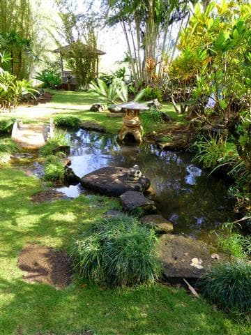 Japanese garden and tea house