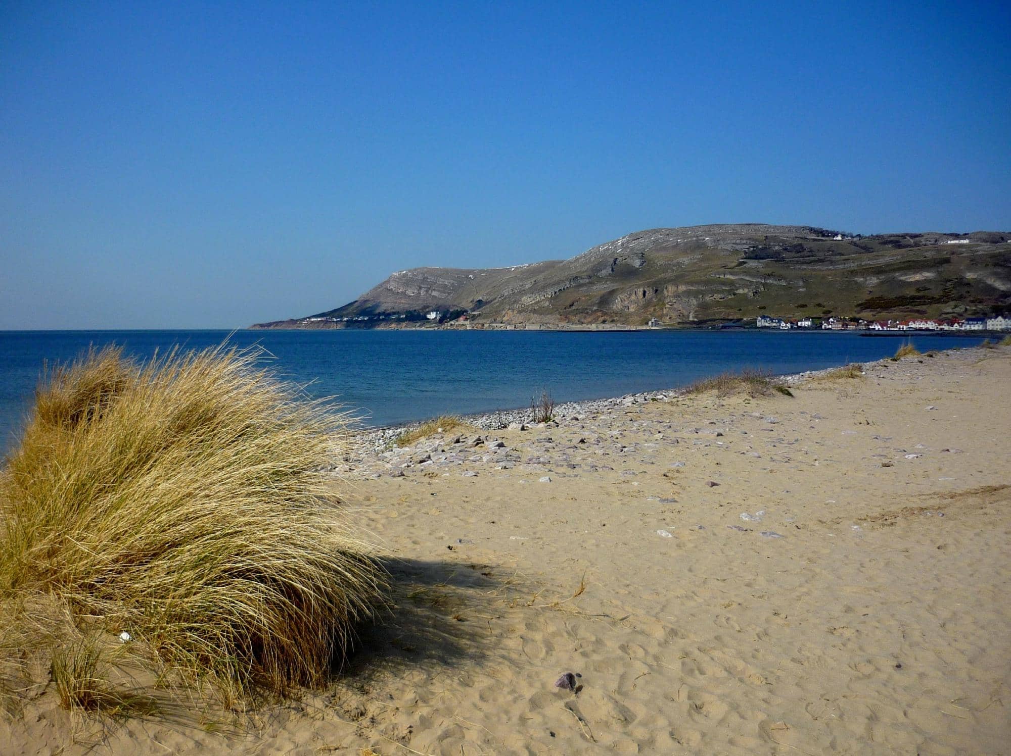 Expansive Sandy Stretches