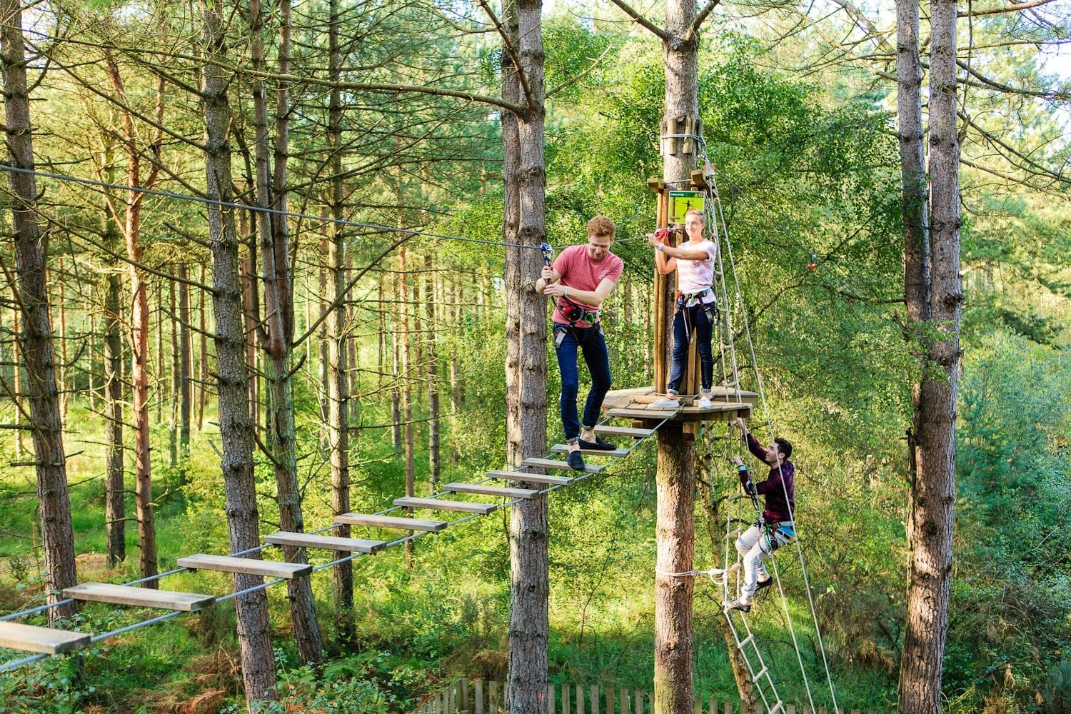 Go Ape Tree Top Adventure