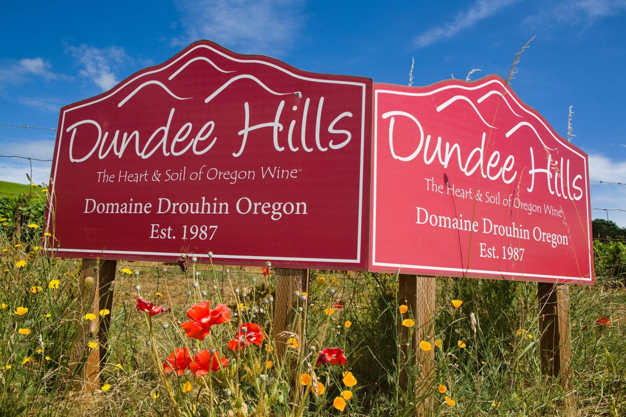 Sustainable Winemaking