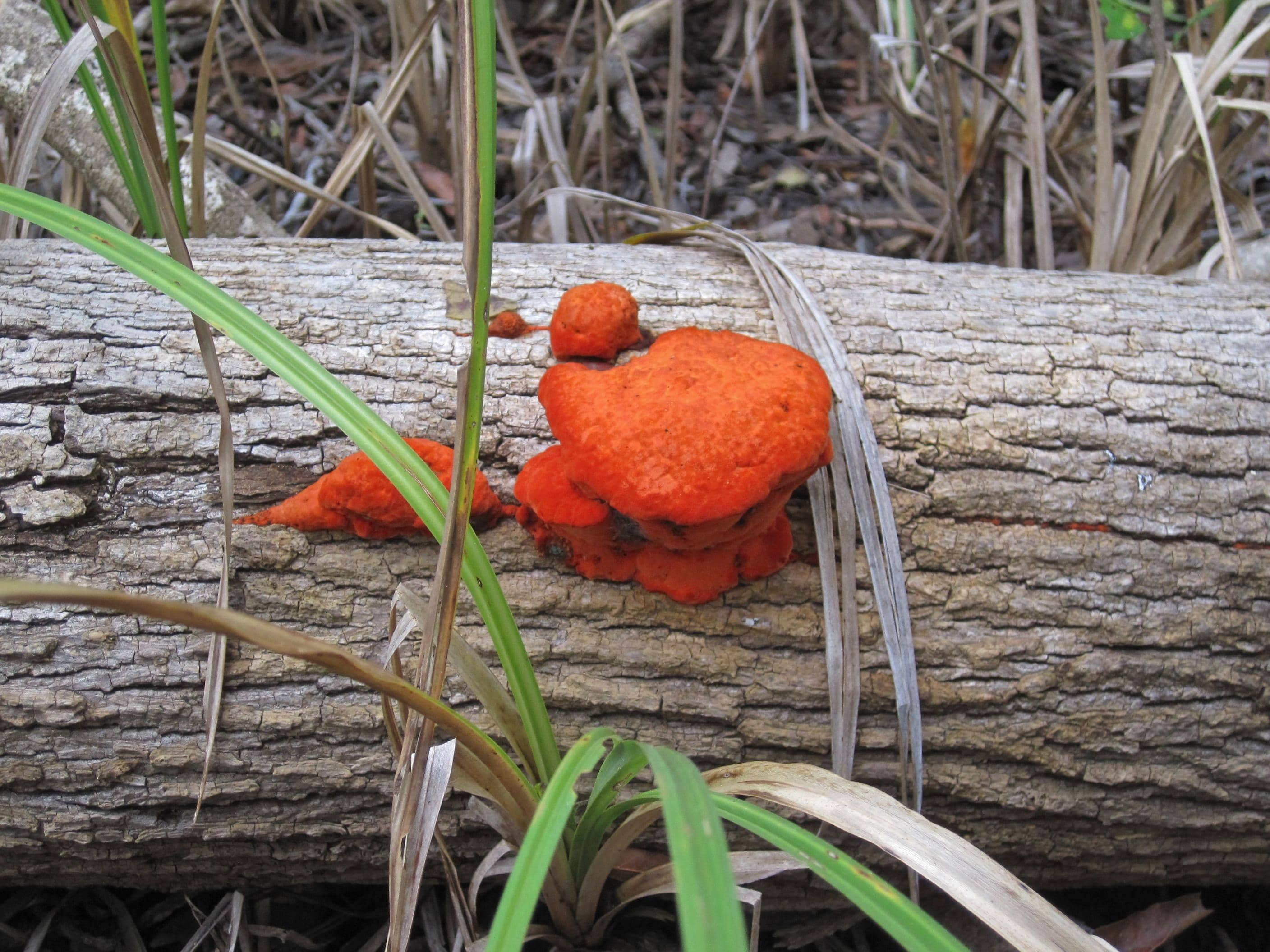 Birdwatcher's Paradise