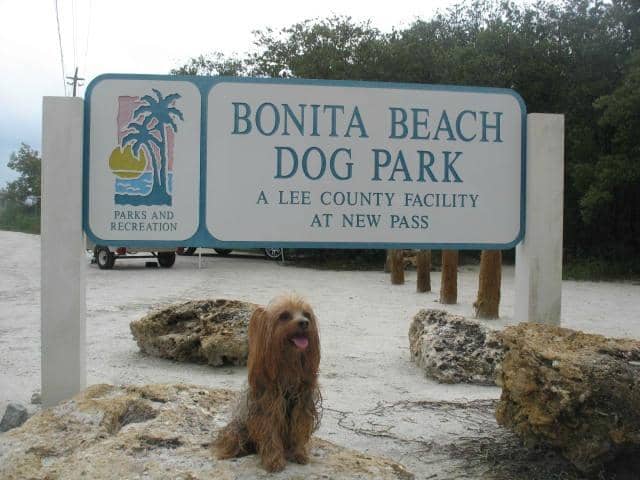 Post-Beach Wash Station