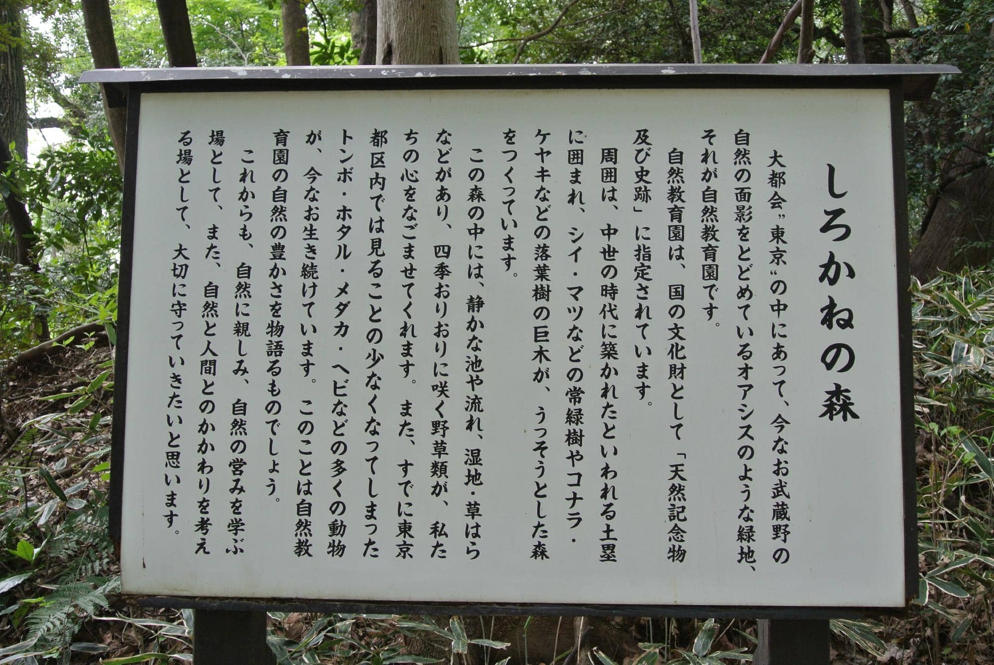 Medieval Villa Ruins