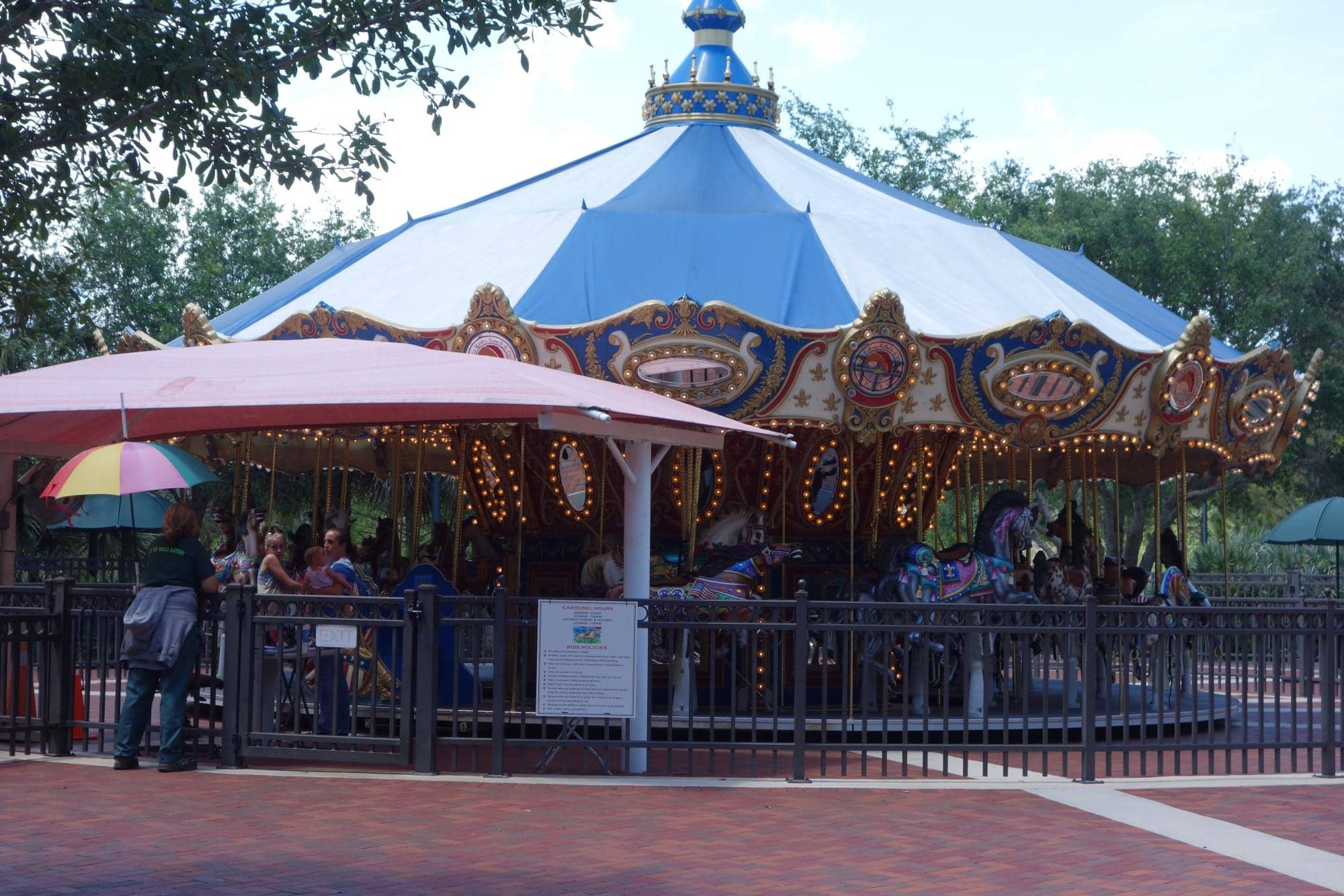 Whimsical Carousel