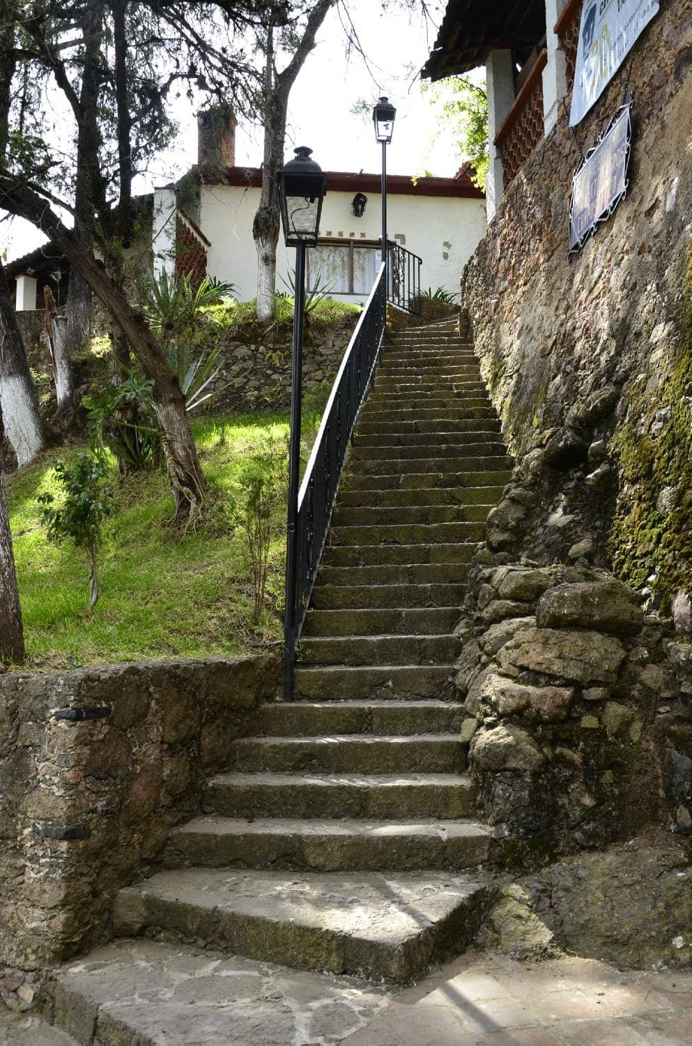 Vertical photo