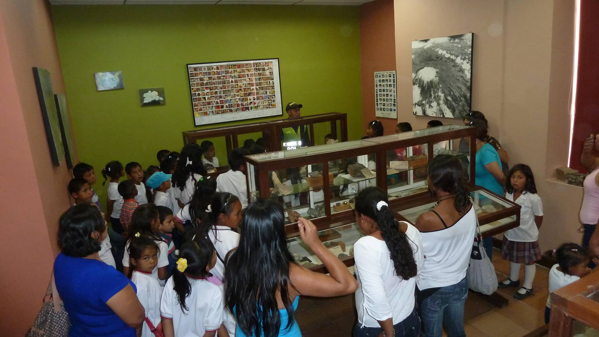 Reptile and Amphibian Collection
