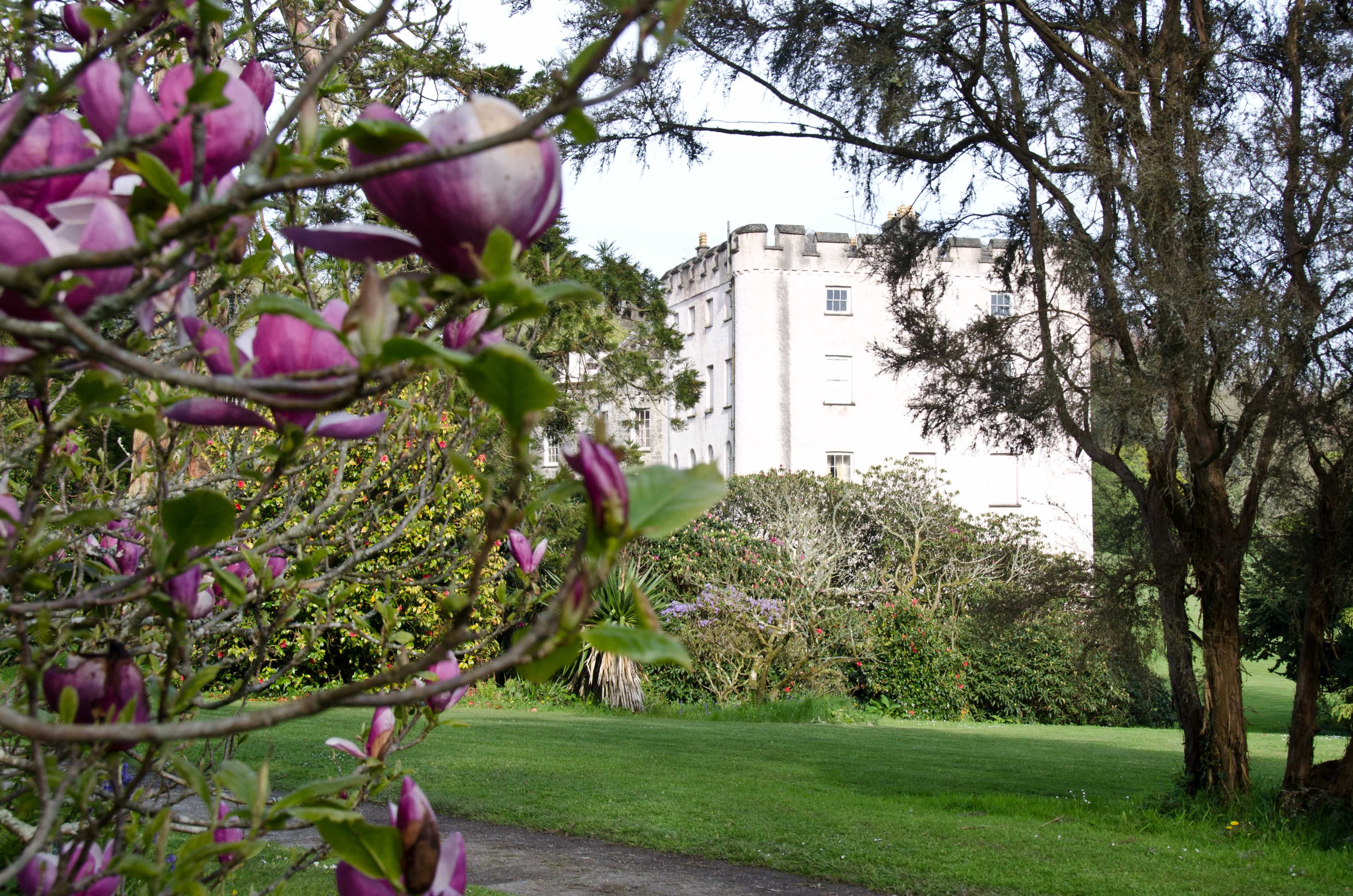 Castle from the West Garden