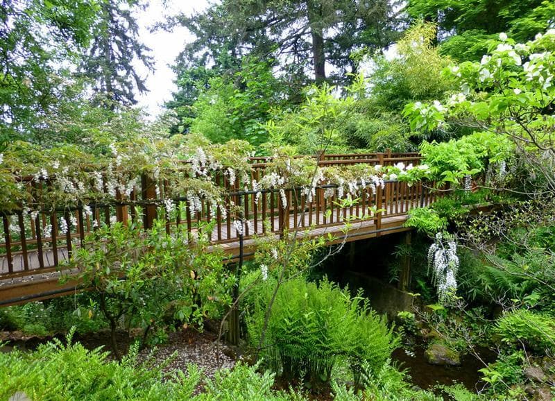 Pedestrian bridge