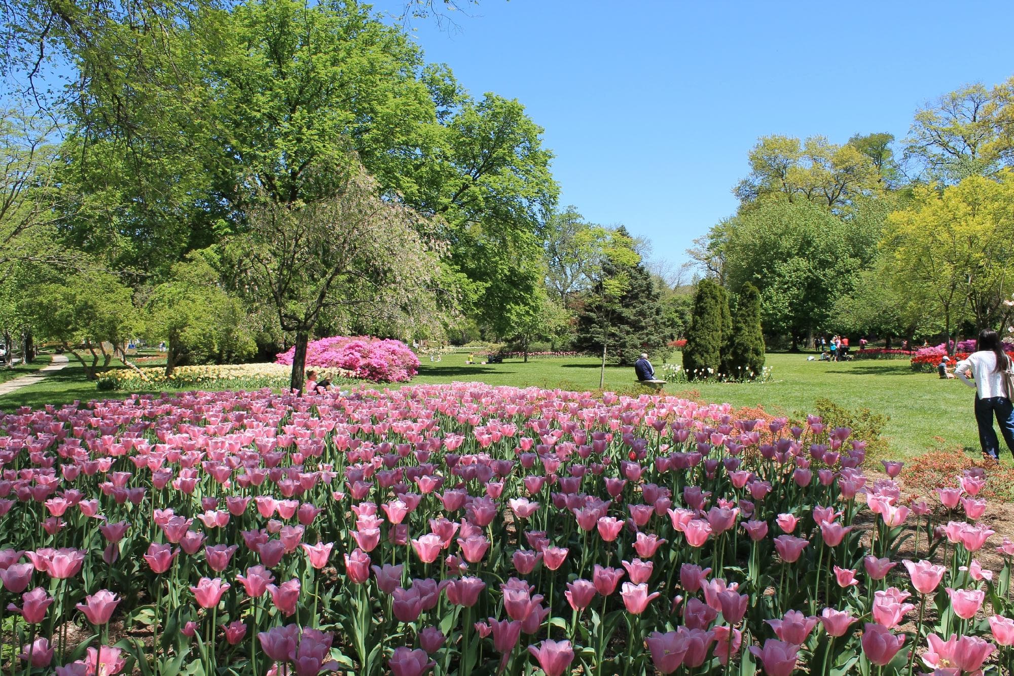 Sherwood Gardens May 2013
