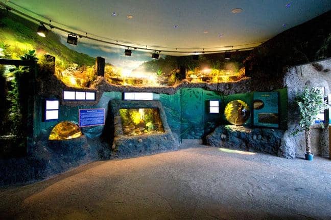 Interactive Touch Pool