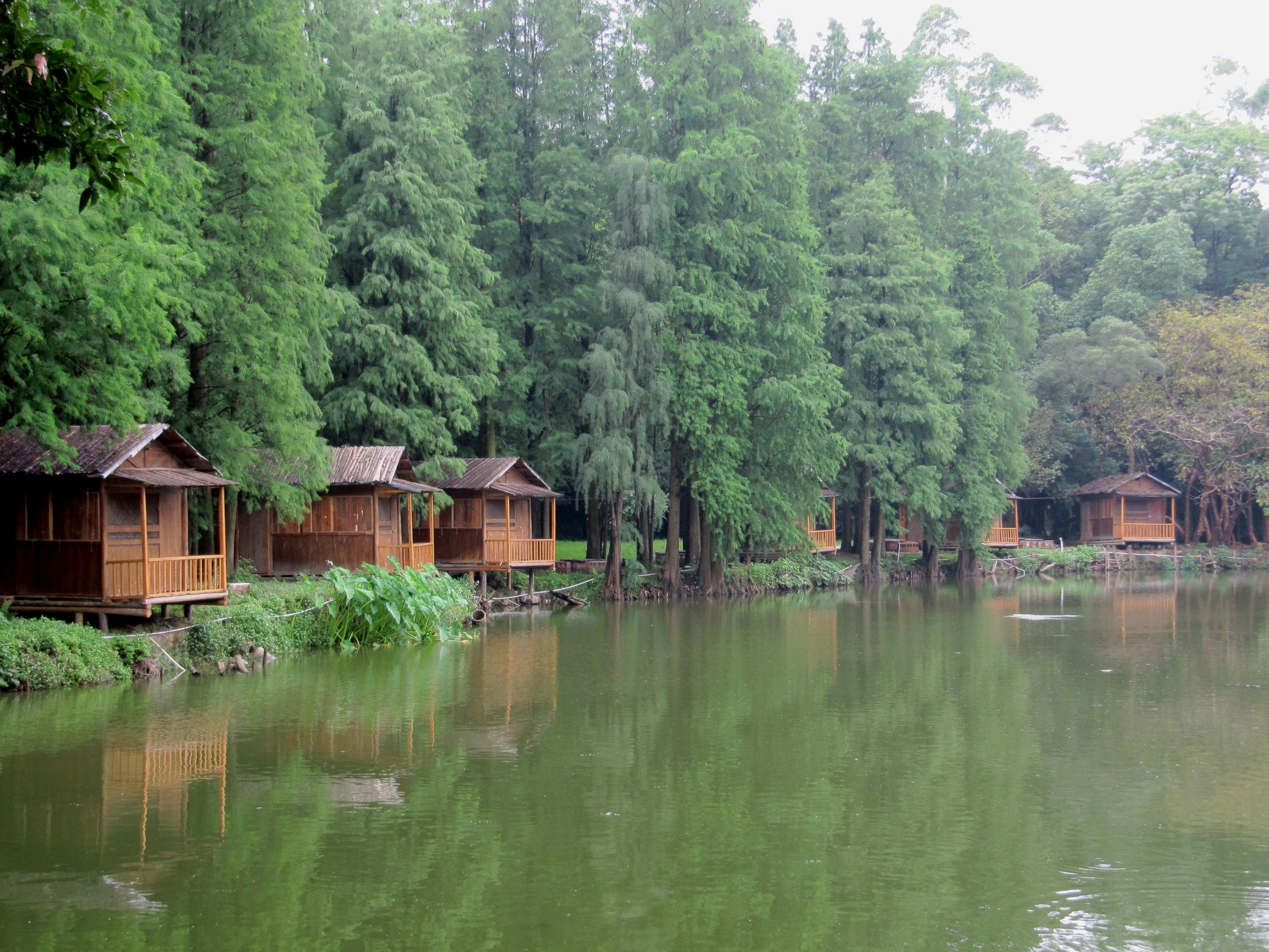 fishing cabins for rent