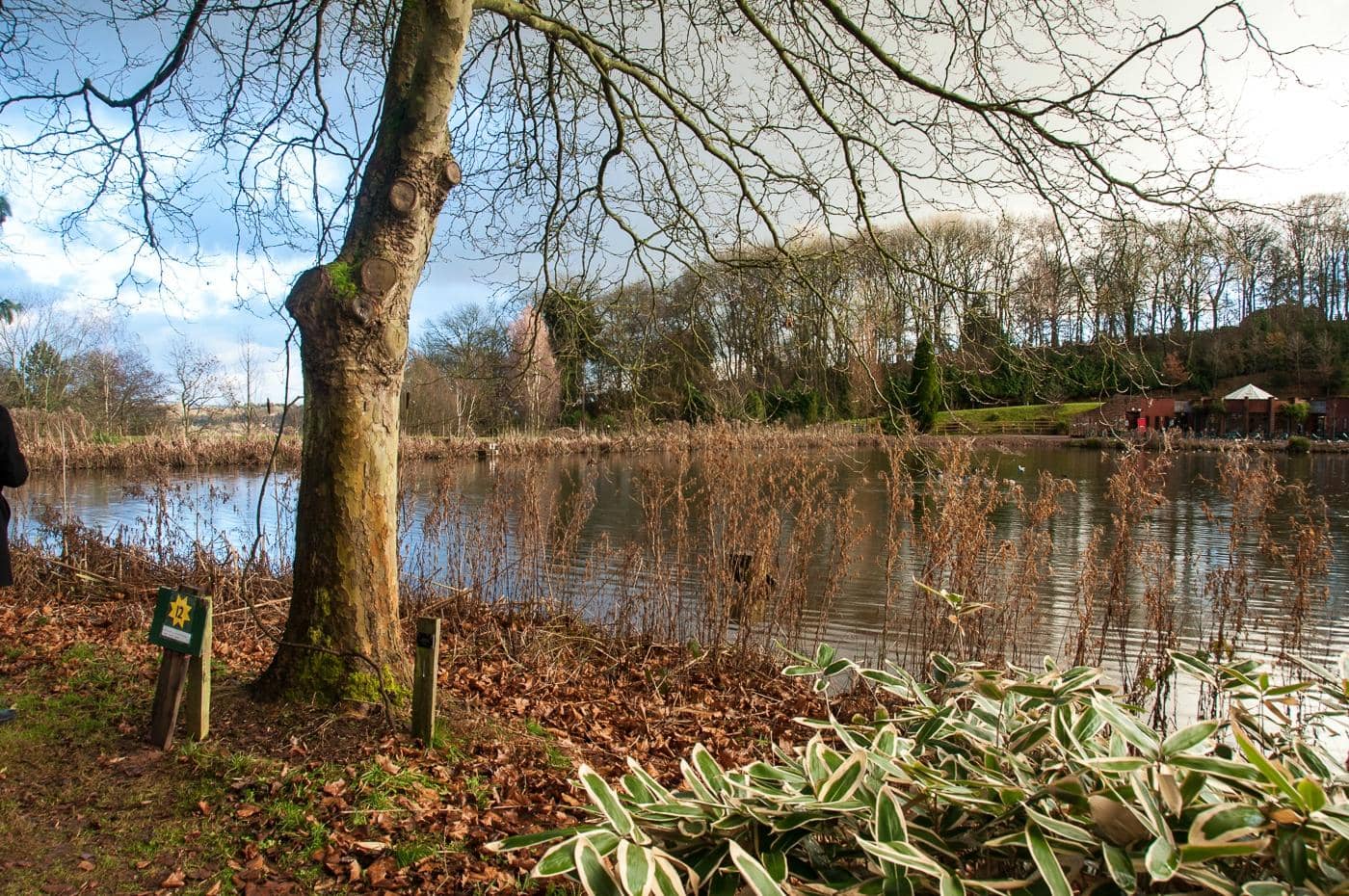 The Serene Pools and Lakes