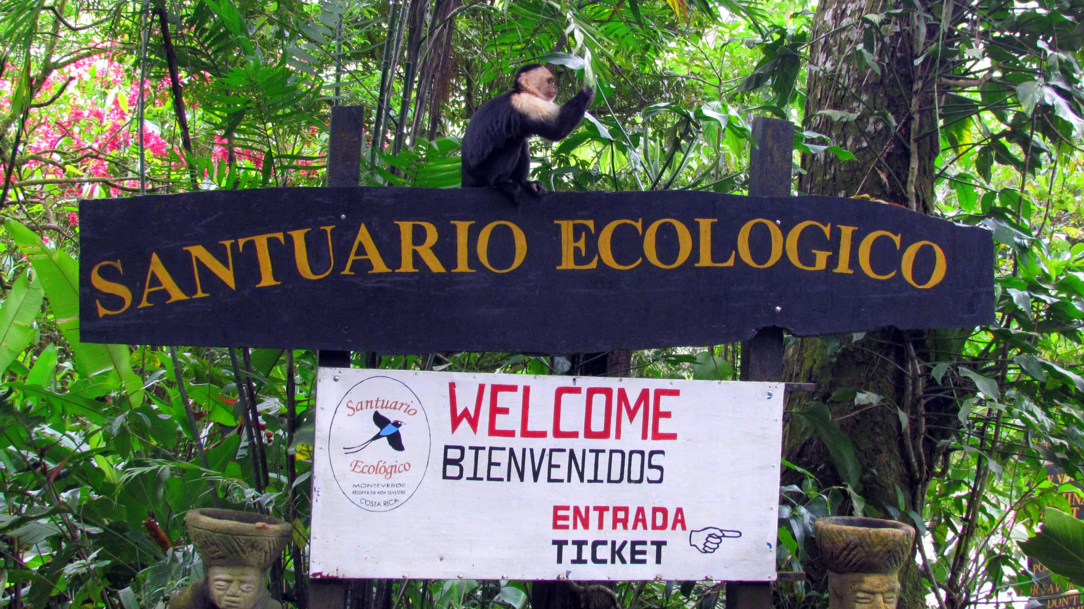 El Tigre Waterfall Trail