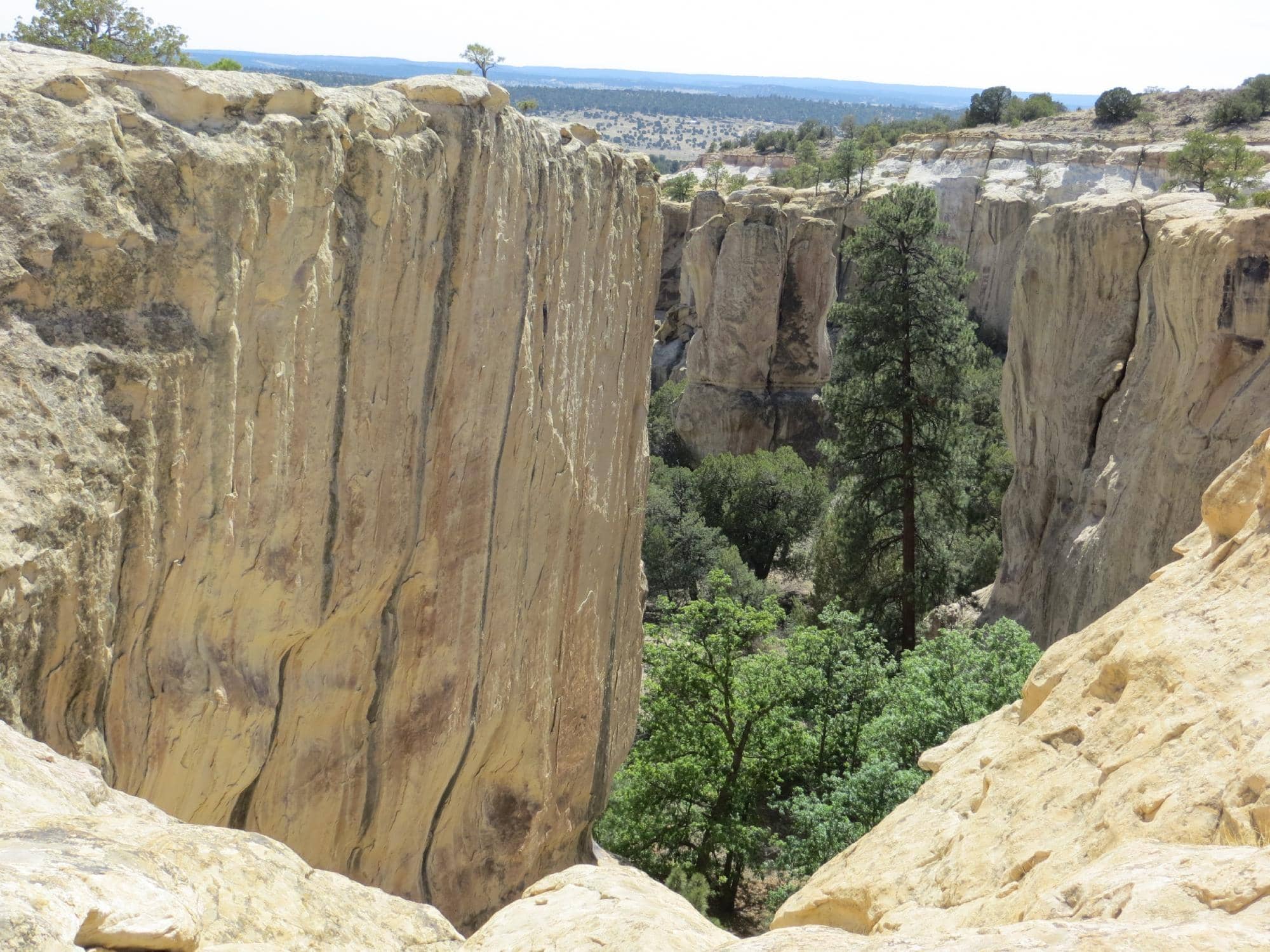 Atsinna Pueblo Ruins