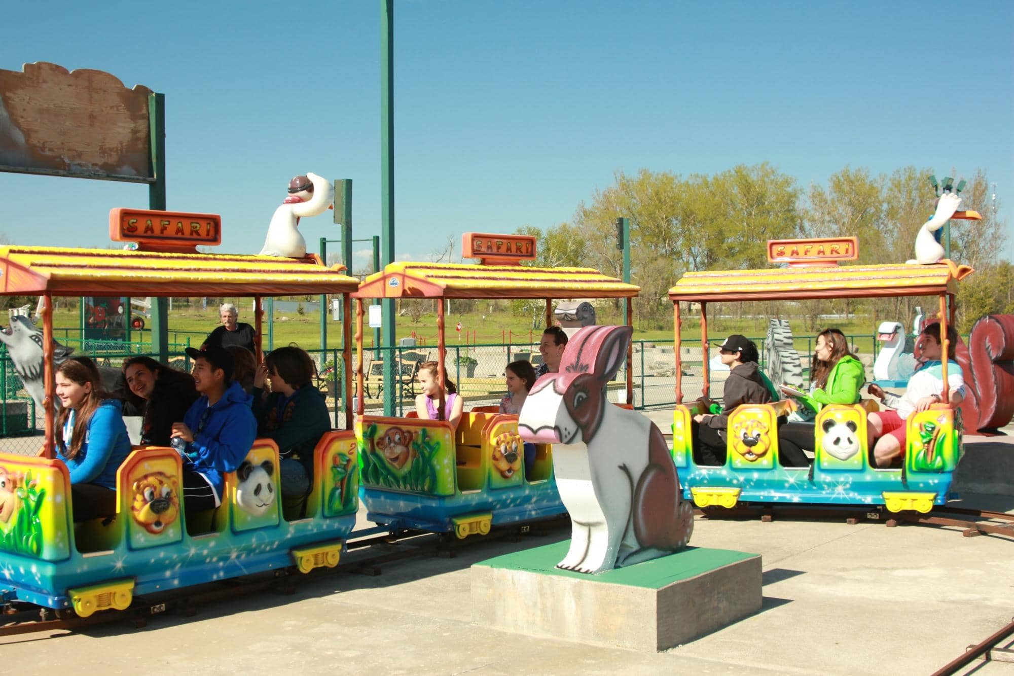 Petting Zoo Fun