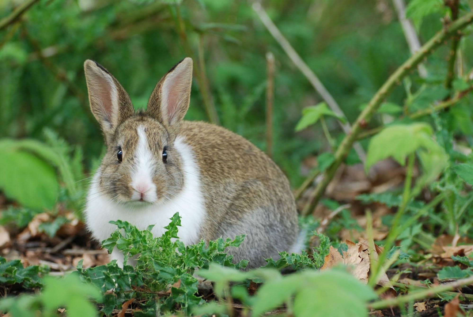 Jericho Sailing Centre