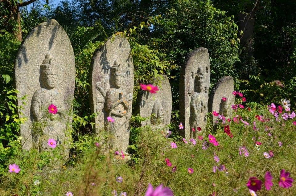 Seasonal Flower Gardens