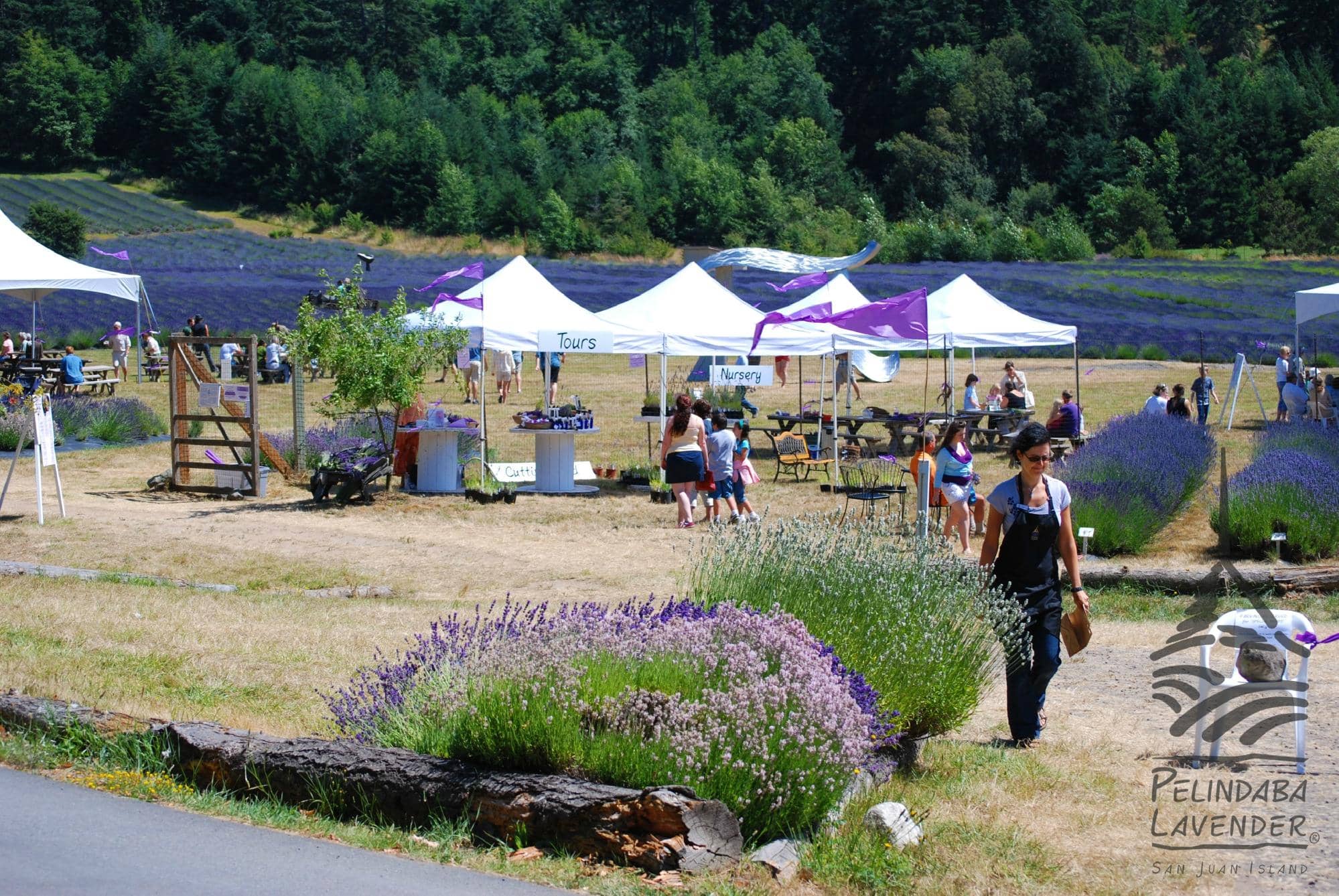 Artisan Lavender Products