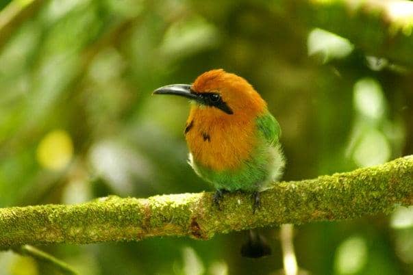 La Fortuna Waterfall