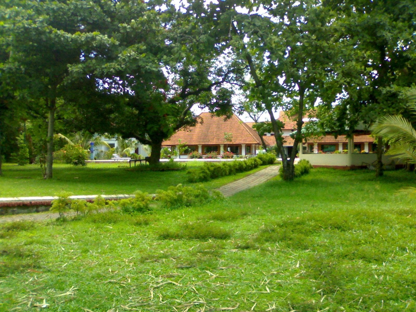 Bolgatty Island