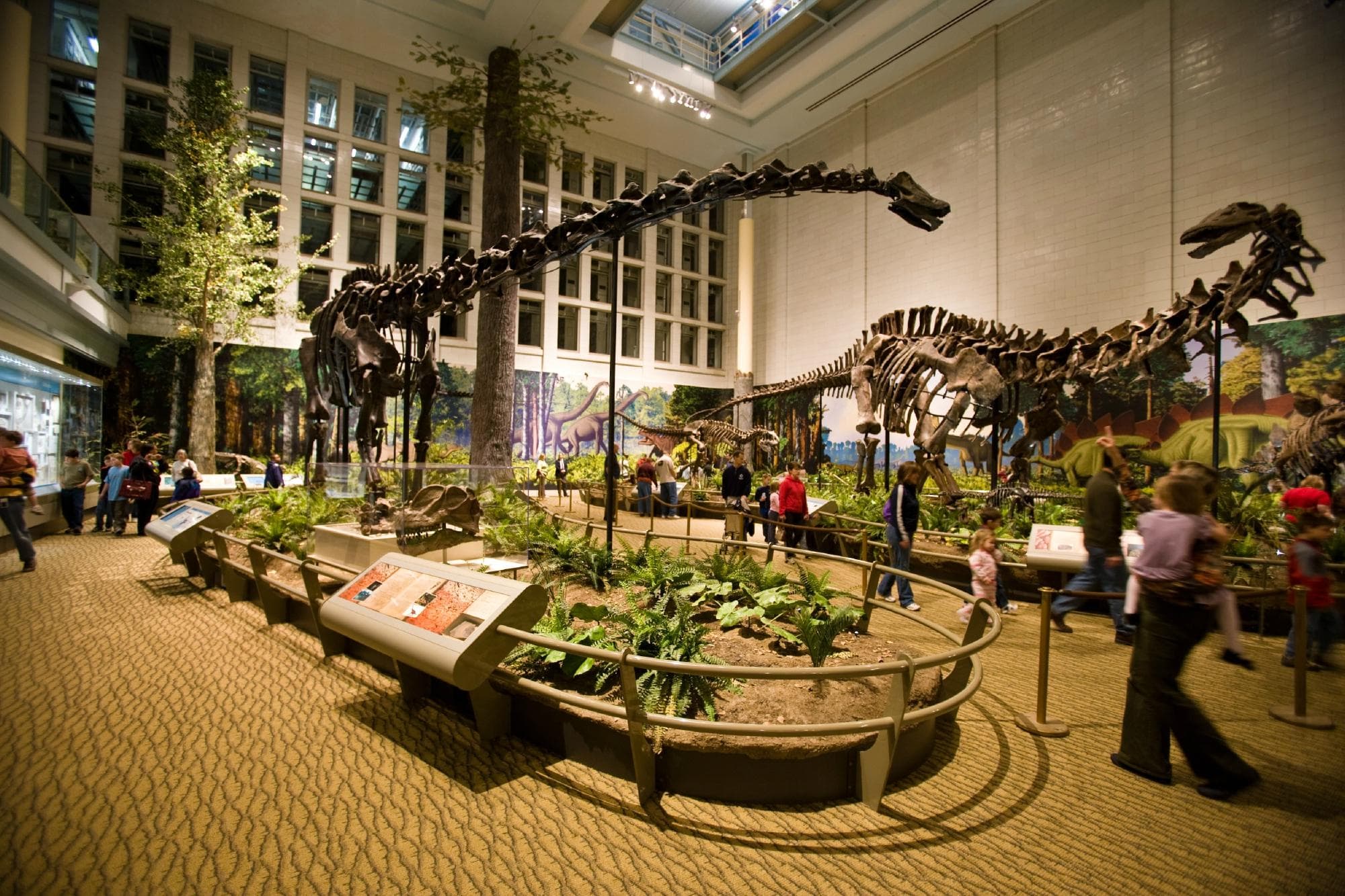 Dinosaurs In Their Time