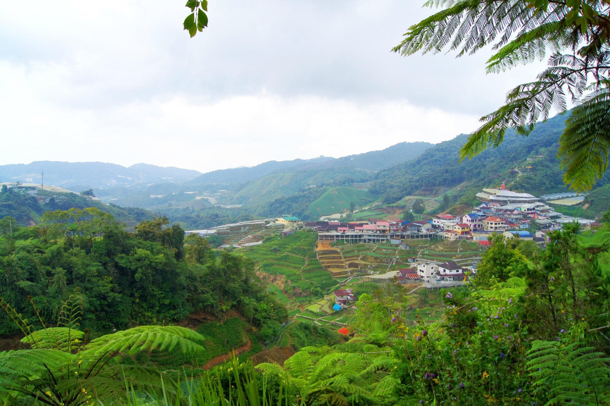 View of Cameron highlands from the Big Red Strawberry Farm at Brinchang