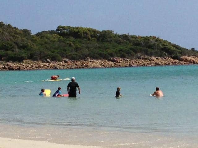 Whale Watching Opportunities