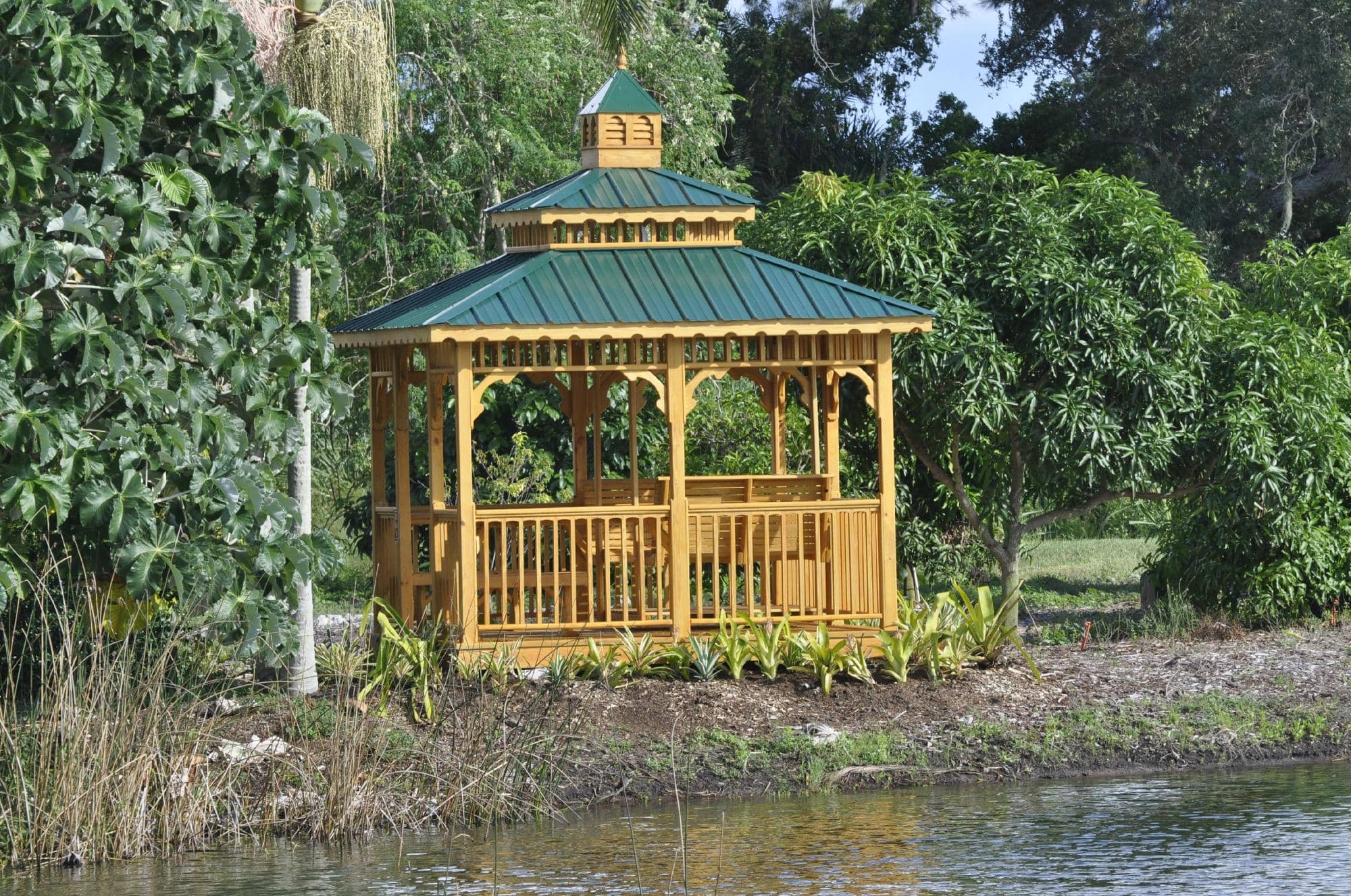 Native Wildlife Encounters