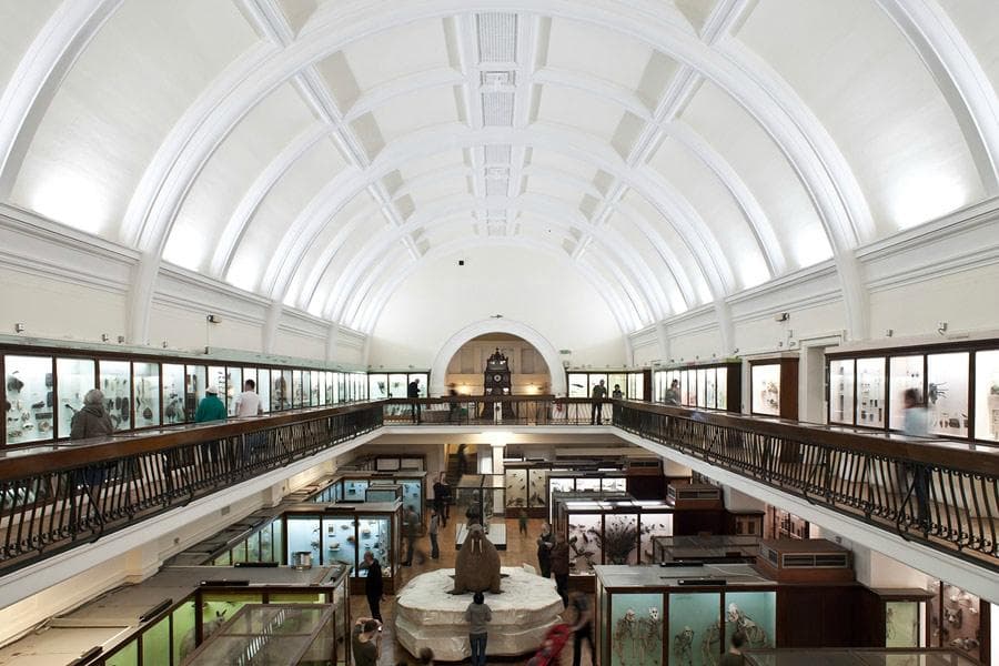 Natural History Gallery