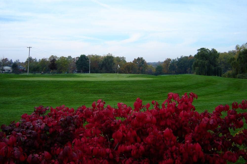 Niagara Benchlands Wineries