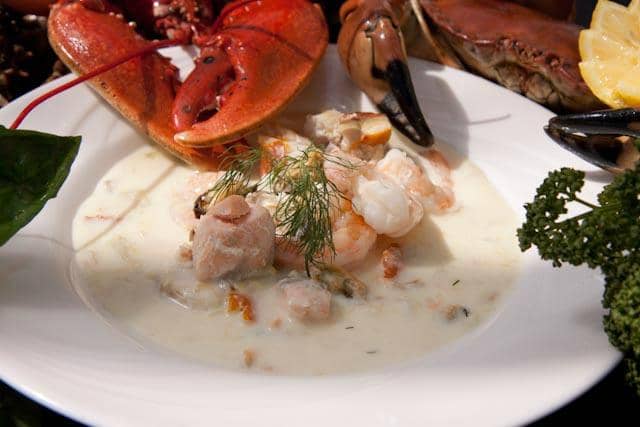 Coastal Walks & Wildlife