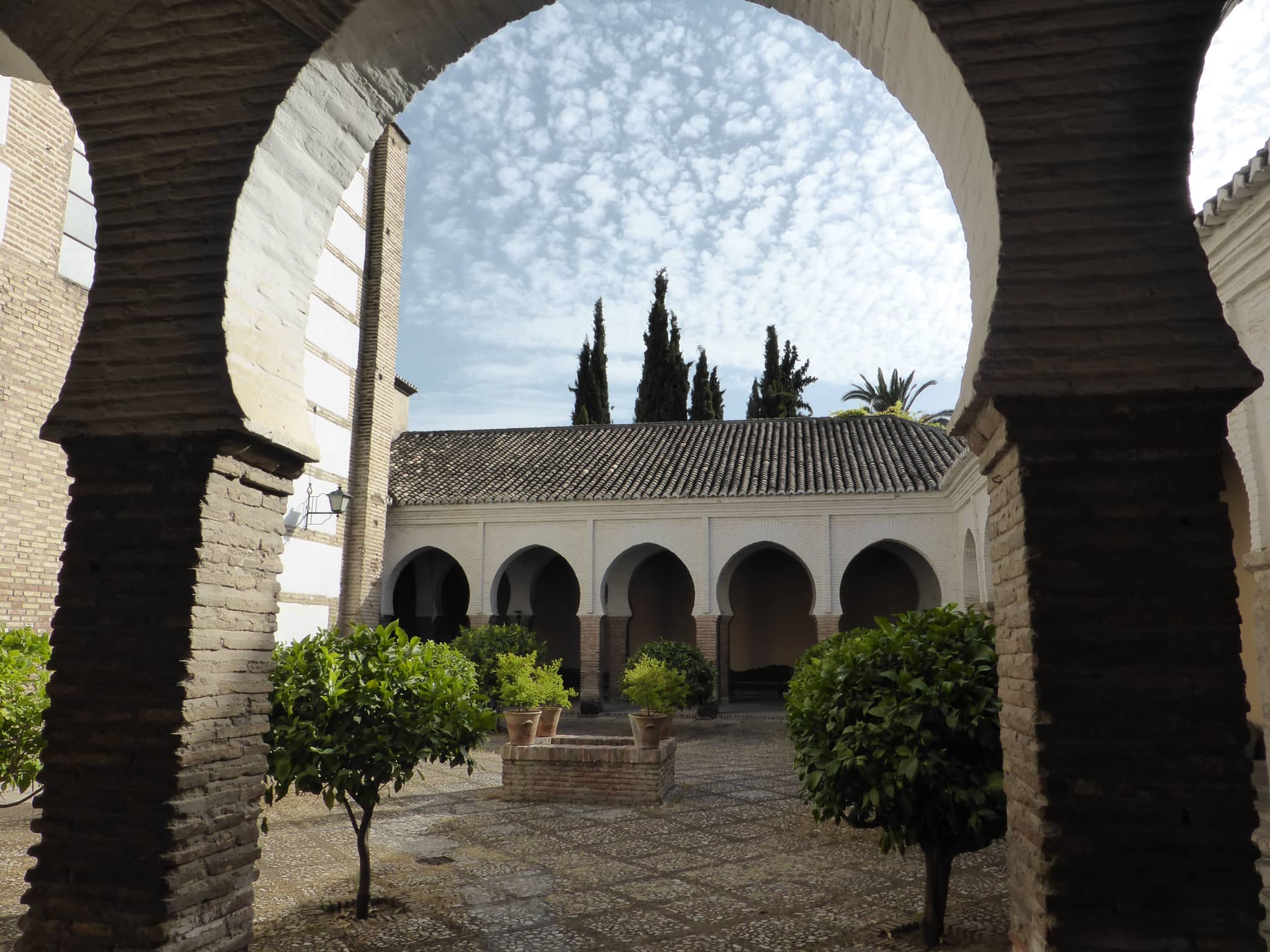 Vertical photo