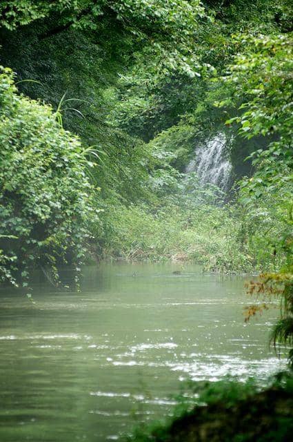 Yamanaka Lacquerware