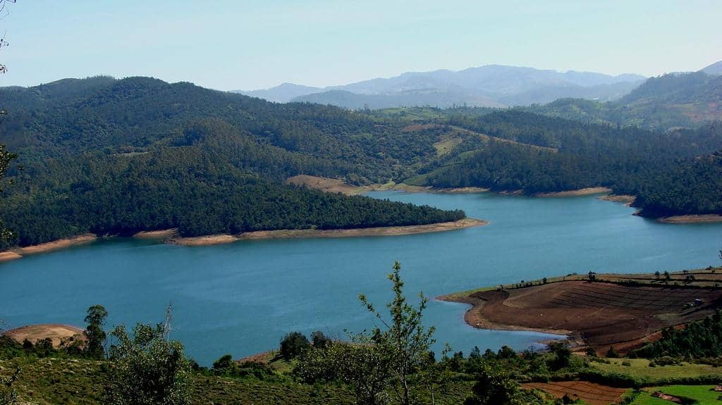 Scenic Tea Plantations
