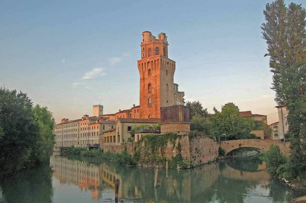 Taxidermy Collection