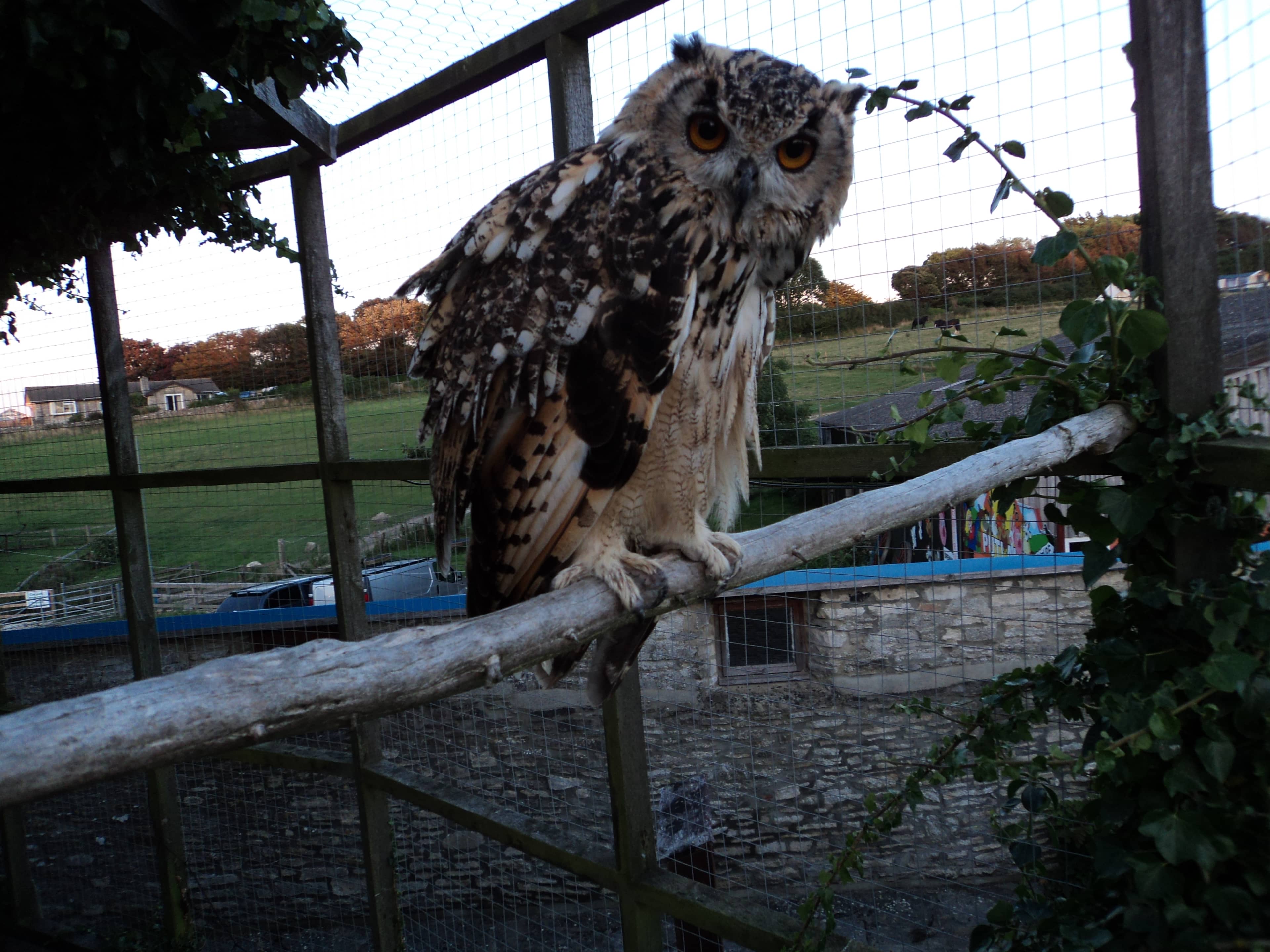 Outdoor Adventure Park
