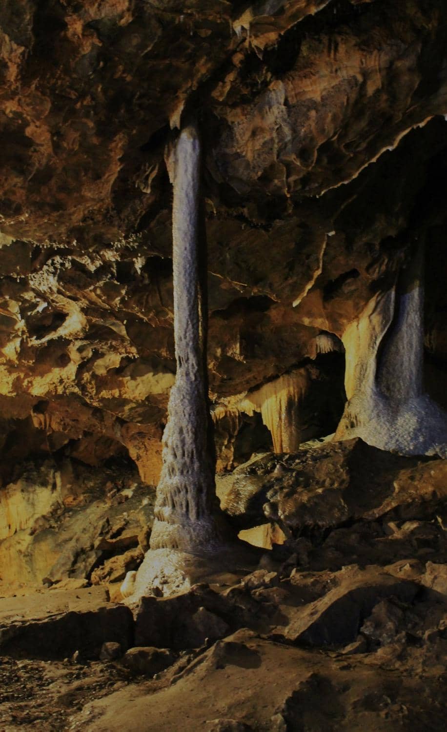 The Cathedral Chamber